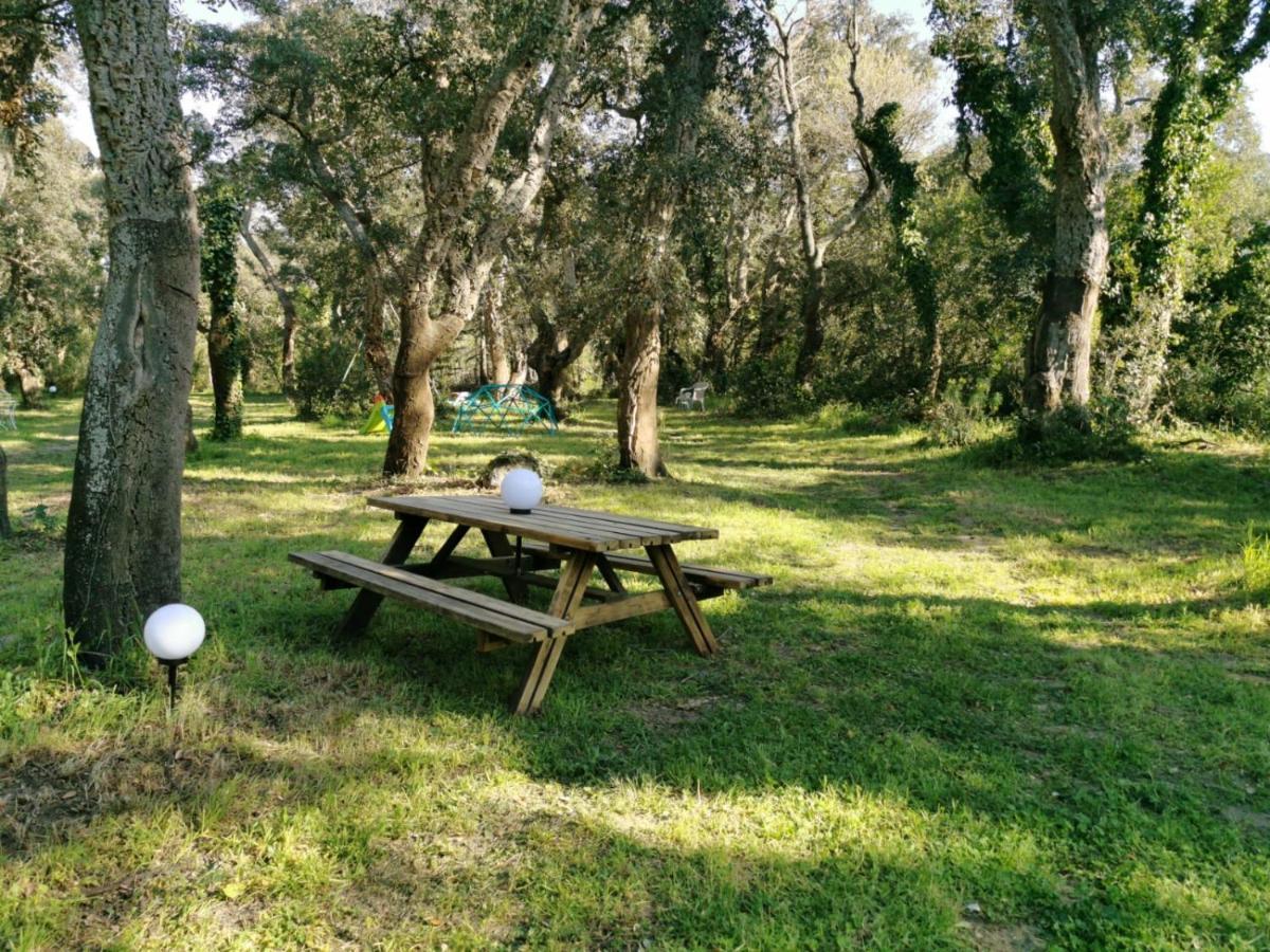 Villa Nature Argelès sur Mer Extérieur photo