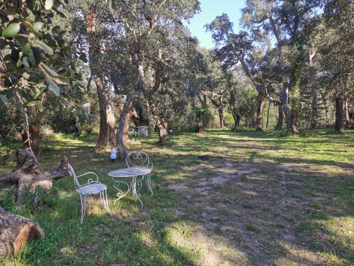 Villa Nature Argelès sur Mer Extérieur photo