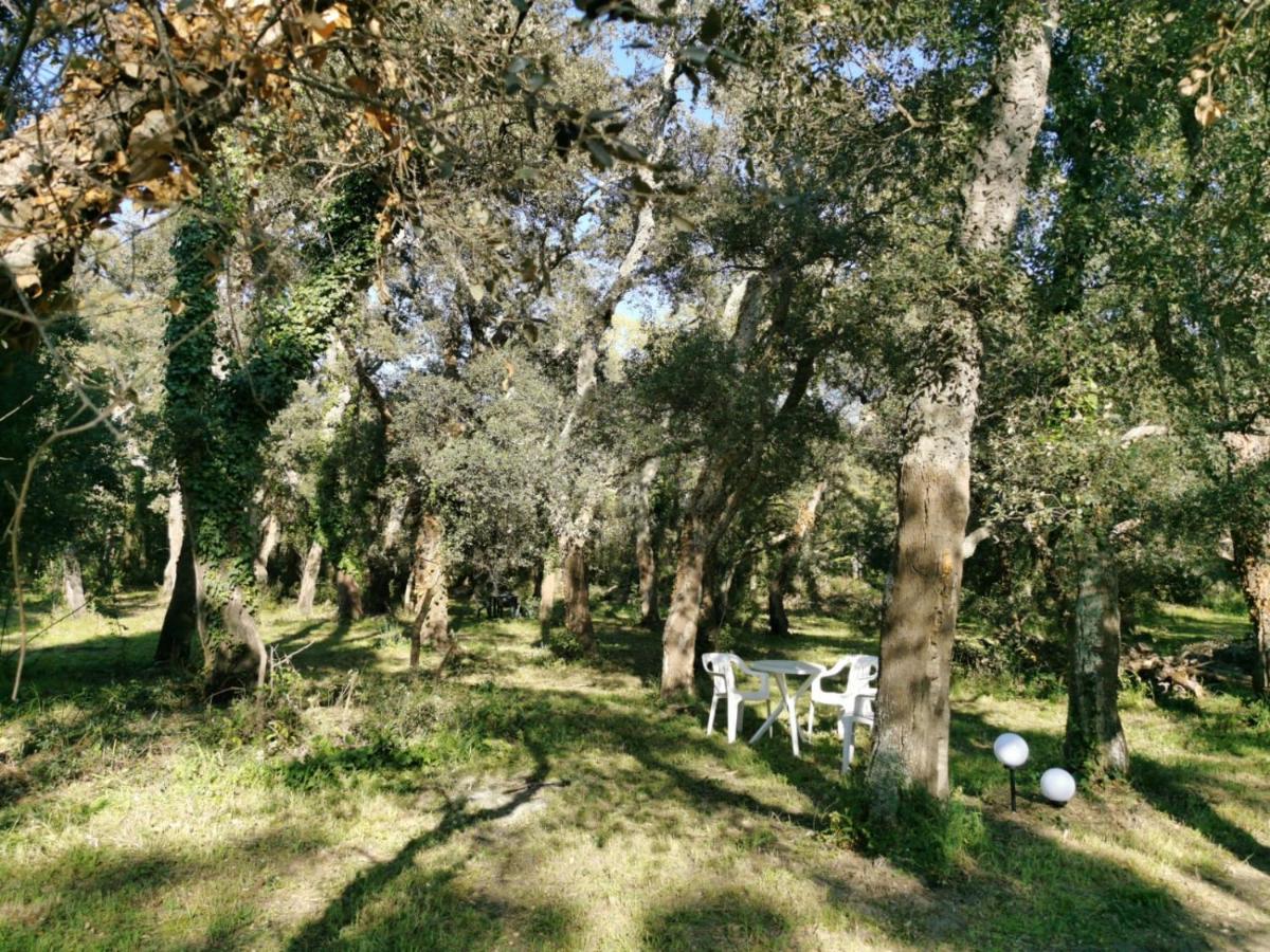 Villa Nature Argelès sur Mer Extérieur photo